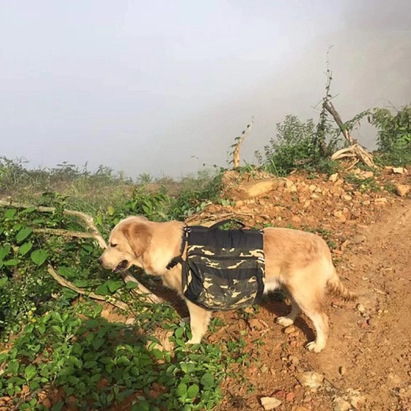 Camo dog backpack with pockets and water bowl - Picture 7 of 7